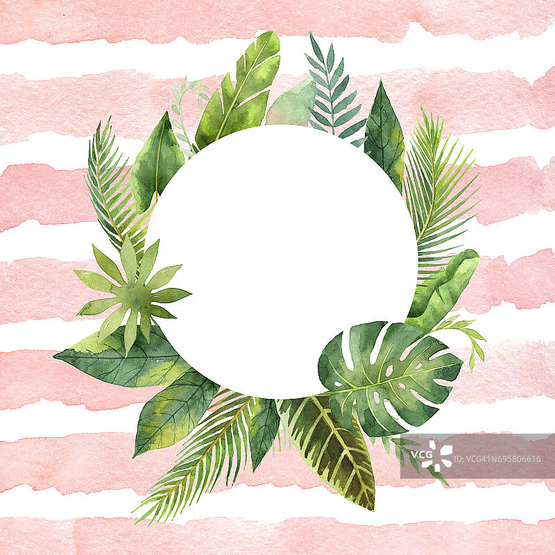 水彩圆形框架热带树叶和树枝上的条纹背景。图片素材