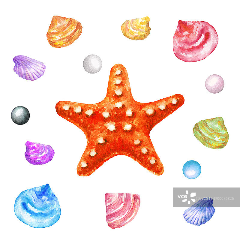 红海星和海贝壳。水彩插图图片素材
