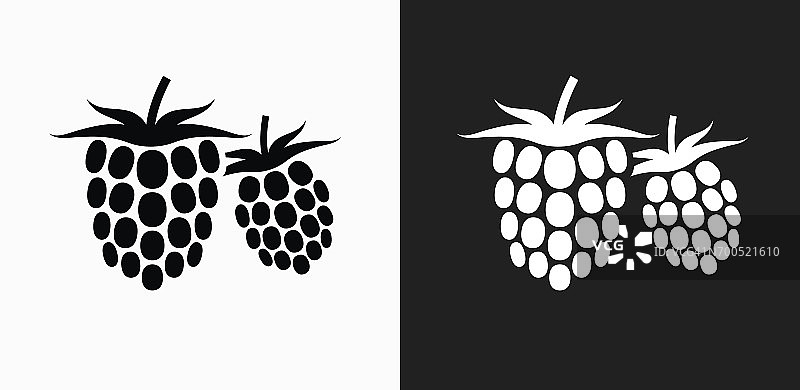 两个树莓图标上的黑色和白色矢量背景图片素材