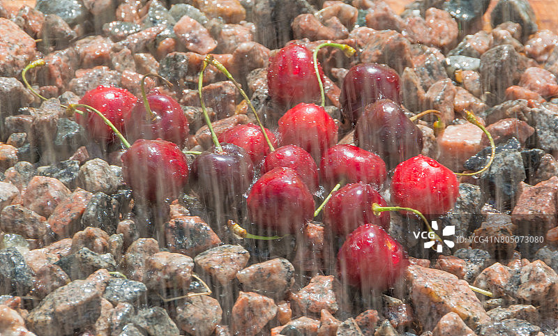 特写，岩石上有很多雨中的樱桃图片素材