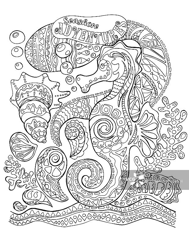海马和海贝成人涂色页。图片素材