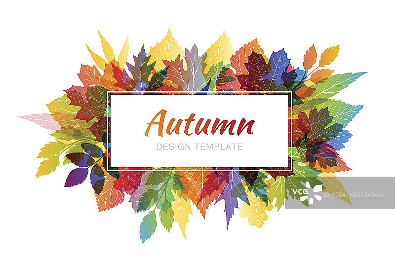 秋天五颜六色的背景与各种各样的树叶图片素材
