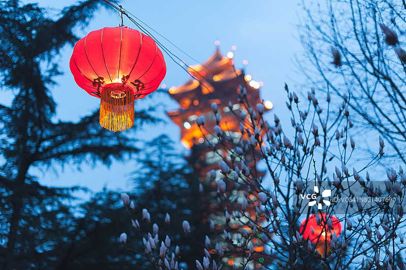 红色的中国灯笼挂在树上，塔和天空在t图片素材