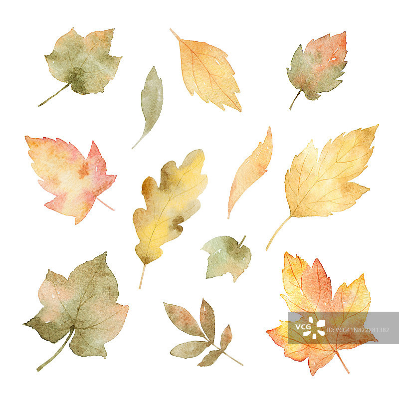 水彩秋天的树叶和树枝孤立在白色的背景。图片素材