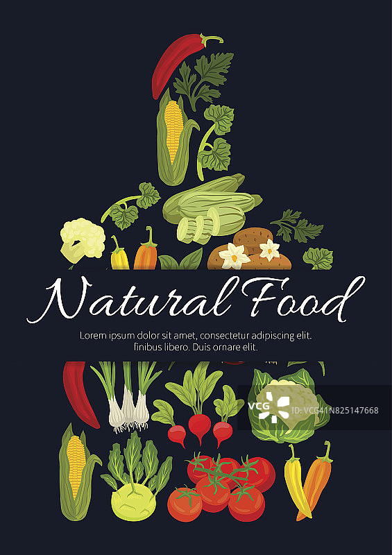 天然素食蔬菜食物载体海报图片素材