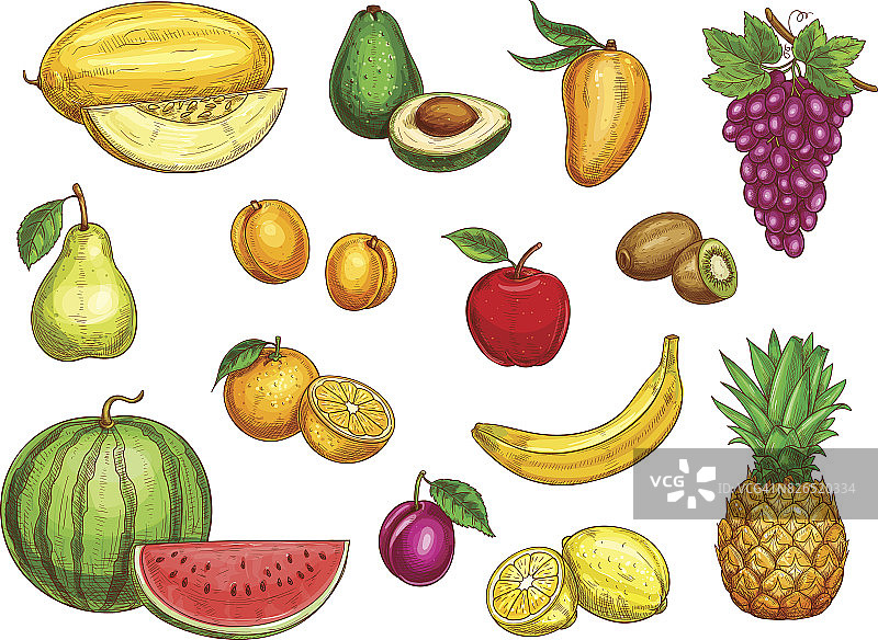 向量异国新鲜水果孤立图标设置图片素材