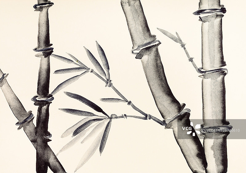 象牙色纸上的竹制树干图片素材