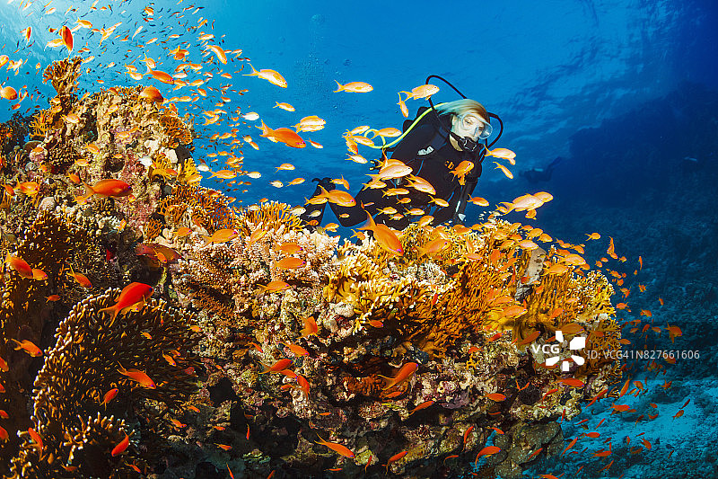 潜水员正在探索和享受珊瑚礁海洋生命运动妇女图片素材