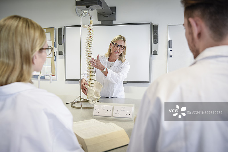 女科学教师向学生展示人体脊柱模型图片素材
