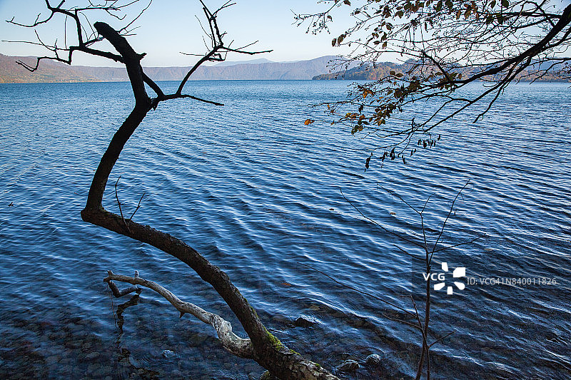 神秘湖的自然，和田湖，神秘湖，风景，和田湖，青森，秋天，和田湖国家公园图片素材