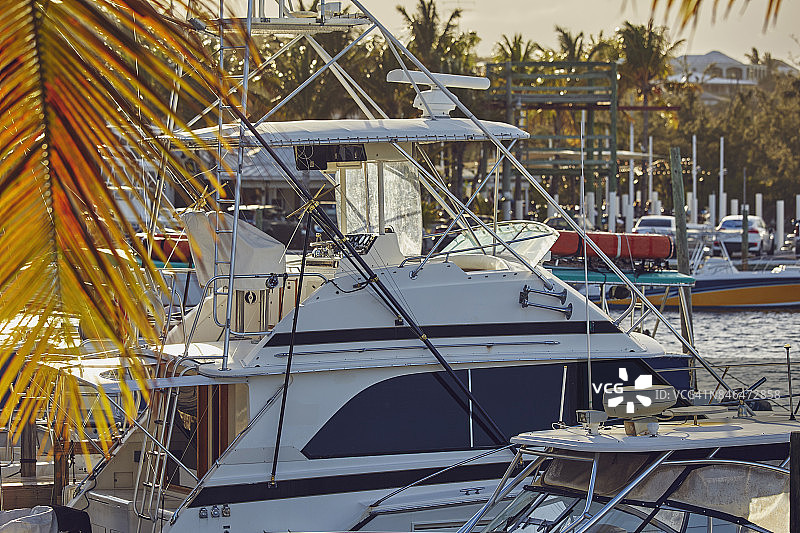 在加勒比海的一个码头，停泊的船只被椰子树环绕着。图片素材