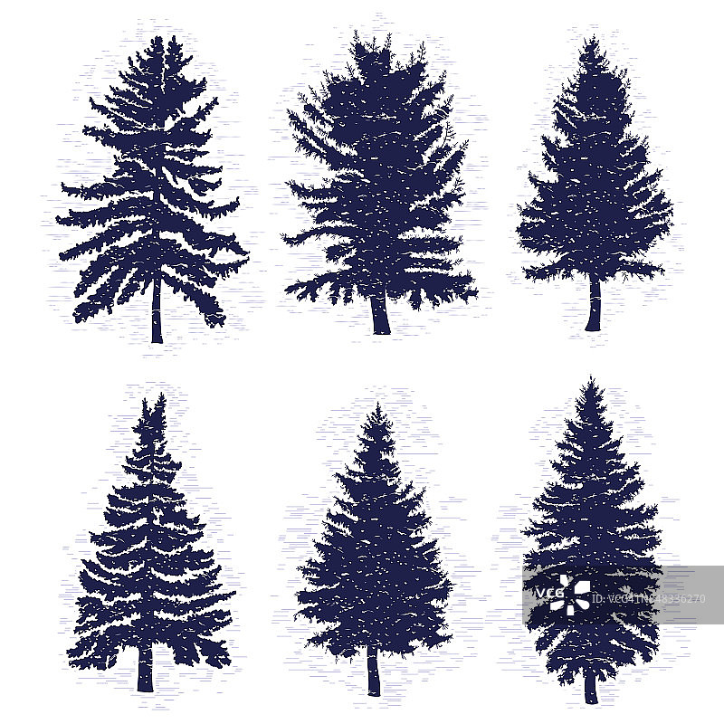向量设置与松树孤立在白色背景，各种树林和冷杉树的剪影为您的设计，孤立。图片素材