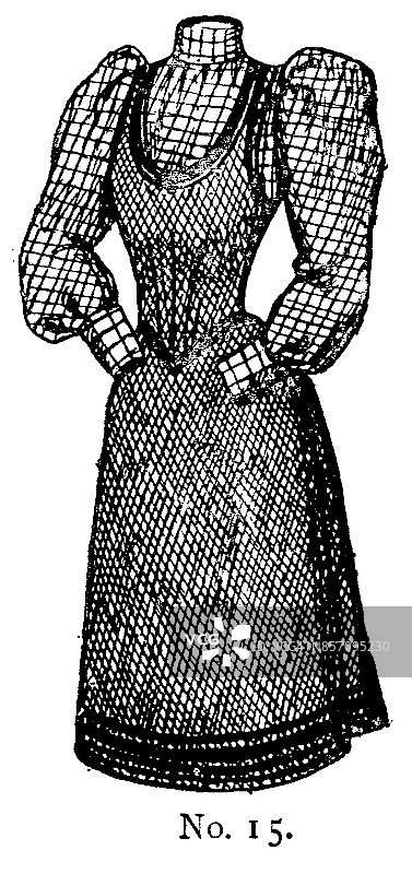 19世纪女士围腰裙和羊腿袖格子衬衫的时尚盘;维多利亚时代的服装和最新时装1893年图片素材