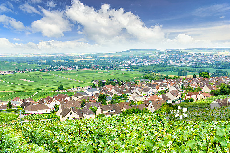 风景优美的香槟，法国兰斯蒙太尼的葡萄园图片素材