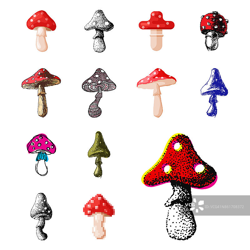 鹅膏蝇木耳伞菌不同艺术风格的蘑菇设计矢量插图红帽子图片素材