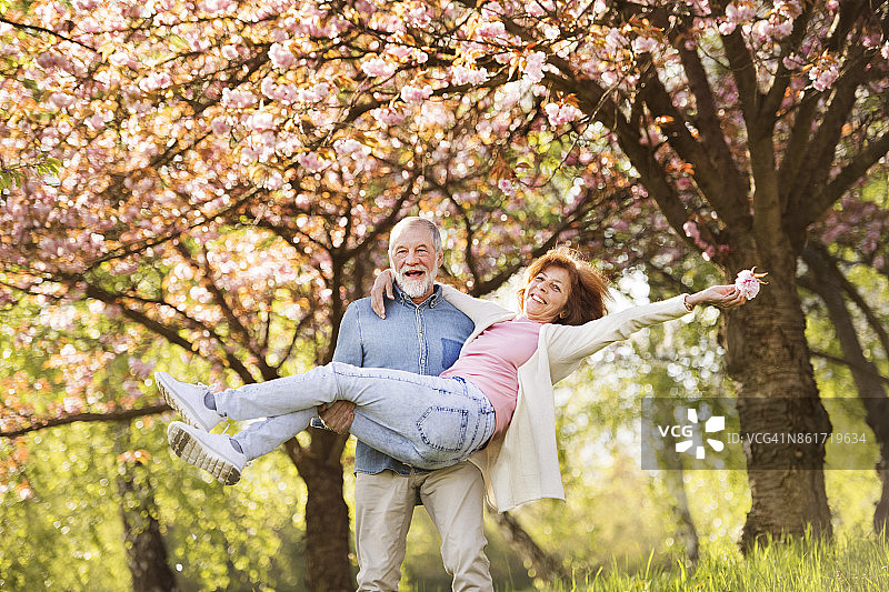 一对老年夫妇在春天的大自然中相爱。图片素材