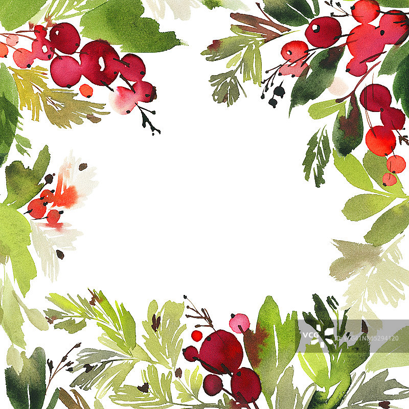 圣诞水彩画卡云杉和浆果图片素材