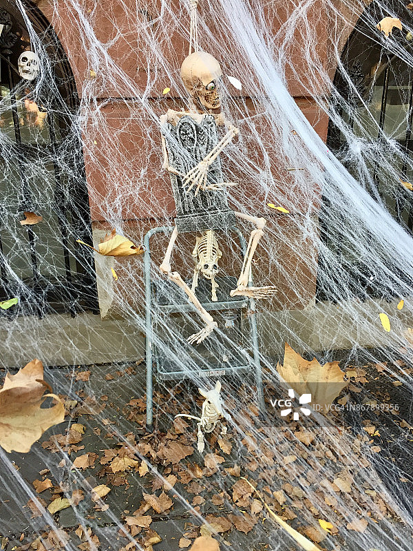 《蜘蛛网和骷髅》在布鲁克林附近图片素材