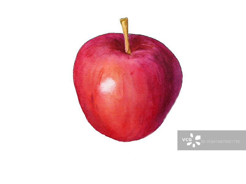 一个苹果的水彩插图，植物插图图片素材