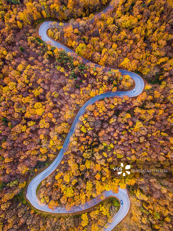 无人机:空中公路之旅——秋天森林里蜿蜒的道路图片素材