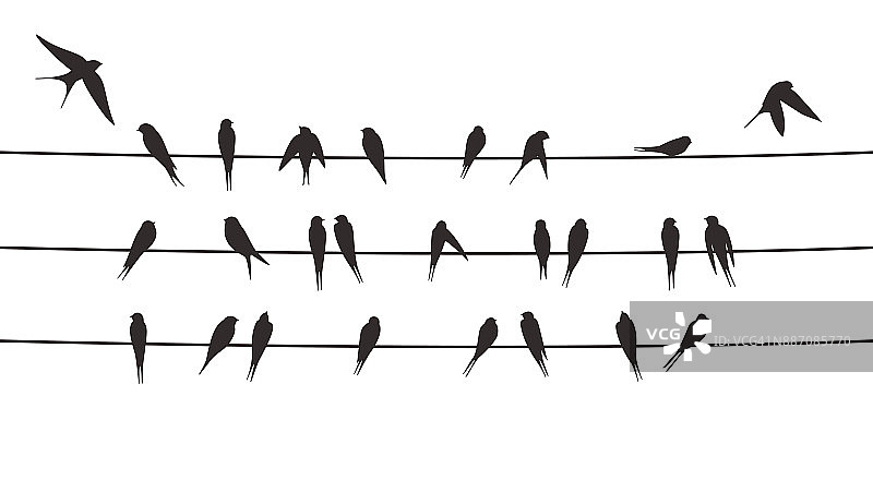 电线上的燕子群，矢量图图片素材