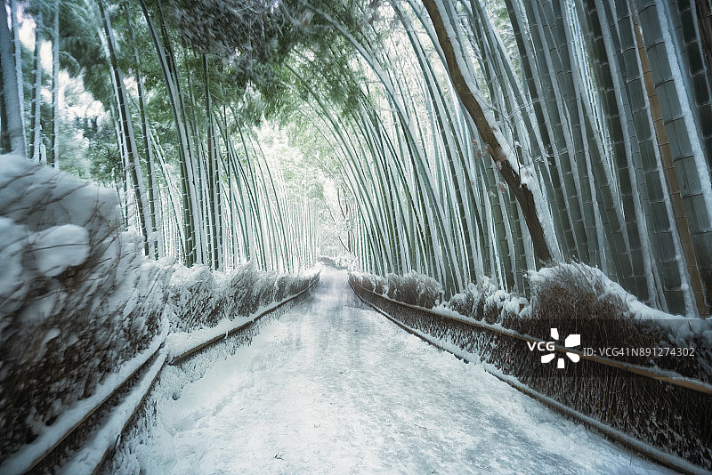 日本京都岚山竹林下的雪顶步道图片素材