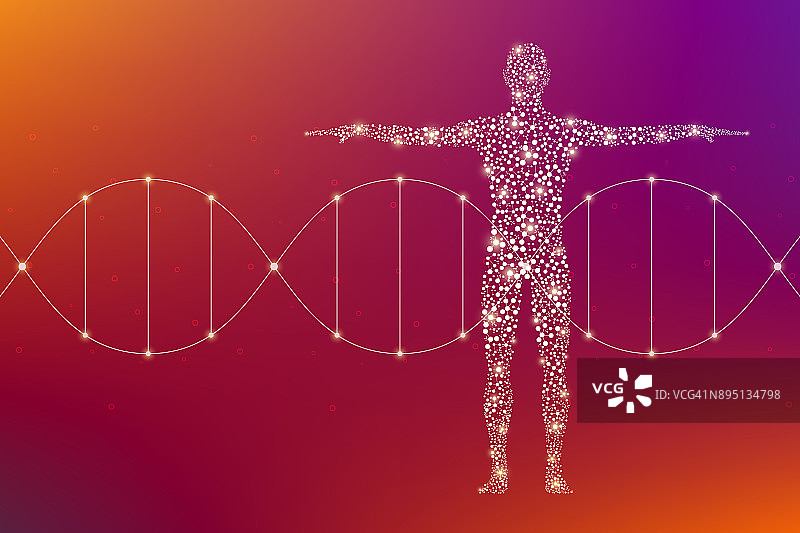 摘要人体含有分子DNA。医学、科技理念。插图图片素材