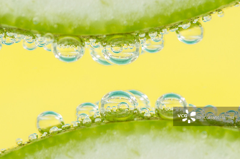 两块柠檬和苏打水在玻璃杯中的细节图片素材
