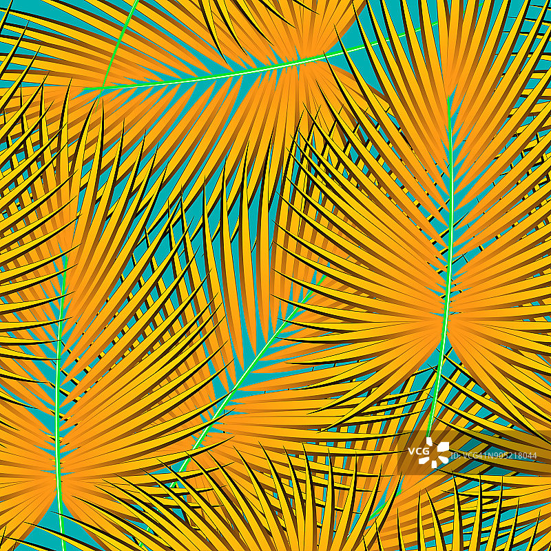 热带棕榈树的图案，丛林的叶子。向量花卉图案。图片素材