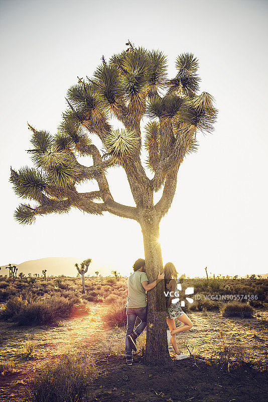 一对西班牙夫妇在沙漠的树上图片素材