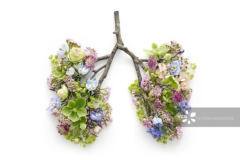 春天的花朵代表人的肺图片素材