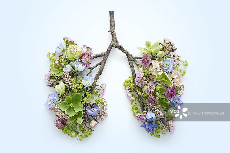 春天的花朵代表人的肺图片素材