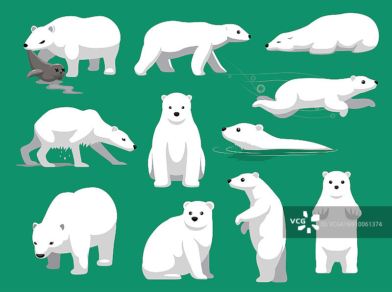 北极熊吃海豹可爱的卡通矢量插图图片素材