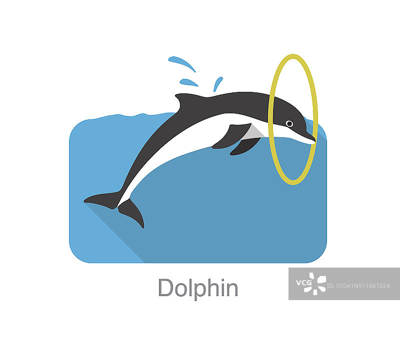 海豚通过圆圈跳出水面，矢量插图图片素材