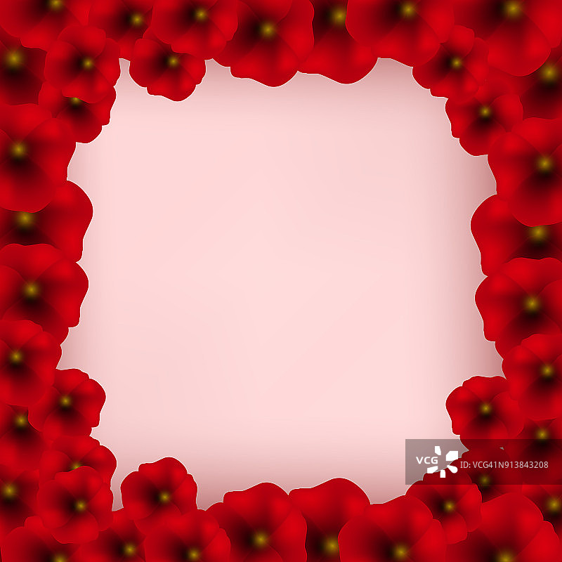 背景与红色罂粟孤立在白色。图片素材