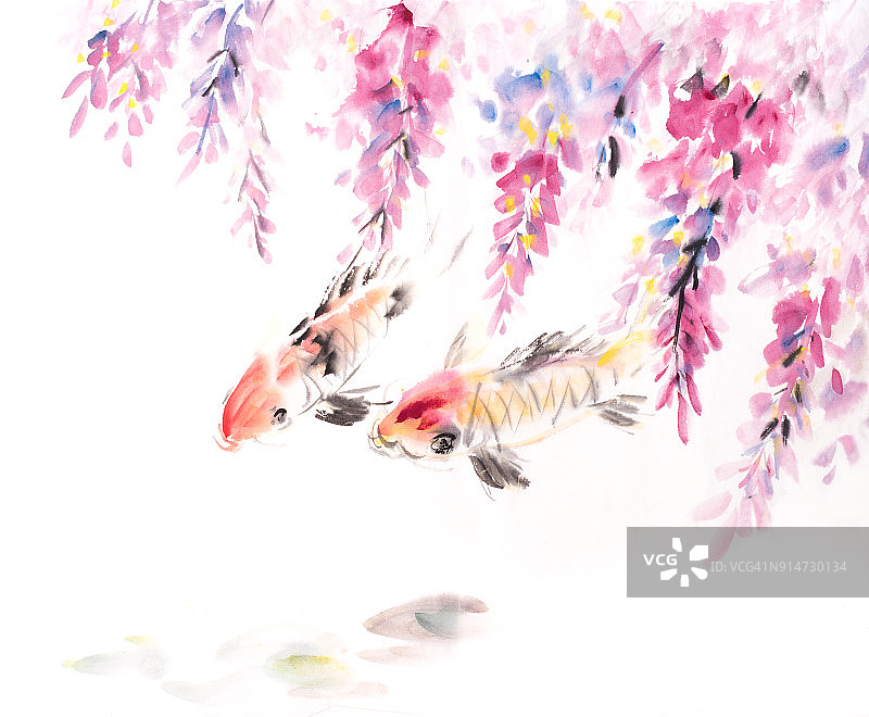 紫藤花鱼，中国传统水墨画。图片素材