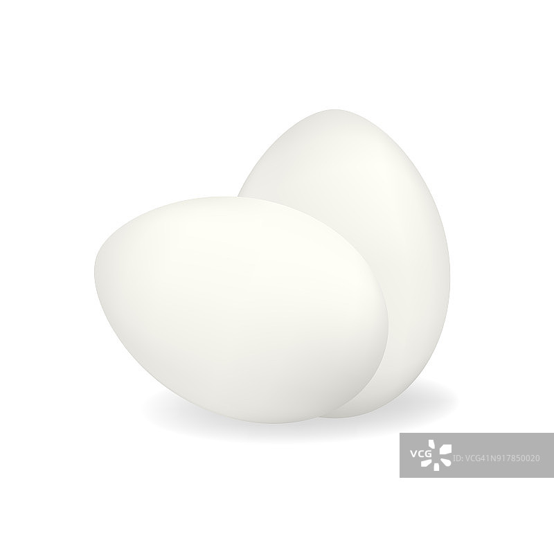 两个白色向量的真实鸡蛋图片素材
