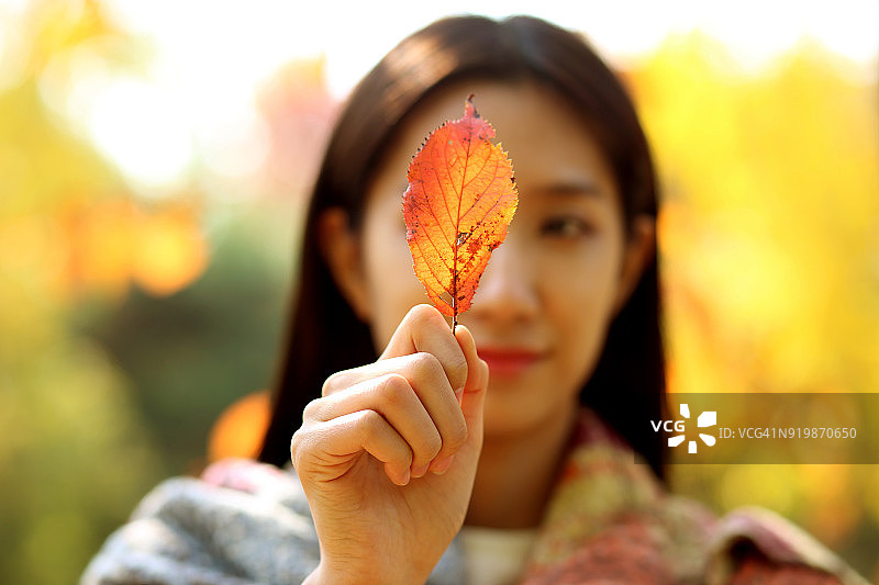女人拿着树叶在秋天的公园里图片素材