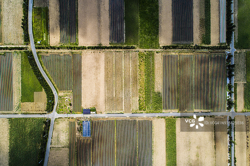 稻田和道路鸟瞰图。图片素材
