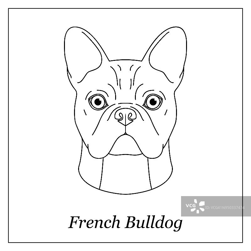 孤立的黑色轮廓头的法国斗牛犬在白色的背景。线条卡通犬种肖像。图片素材