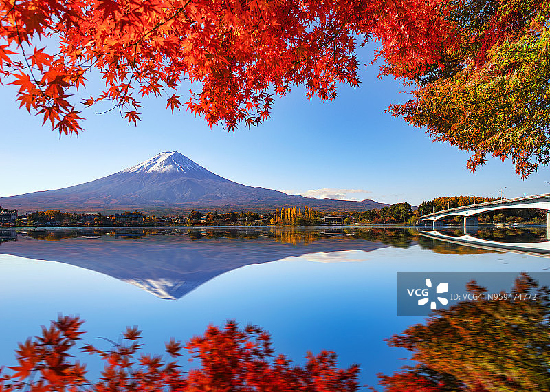 富士山和红枫秋映川口湖图片素材