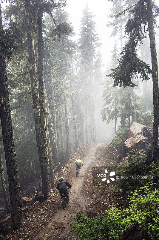 高角度的男性朋友山地自行车在森林在雾天气图片素材