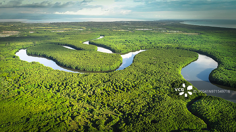 红树林河流鸟瞰图图片素材