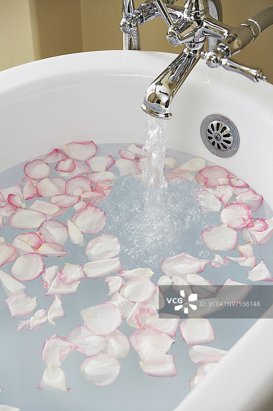 浴缸里装满了玫瑰花瓣图片素材