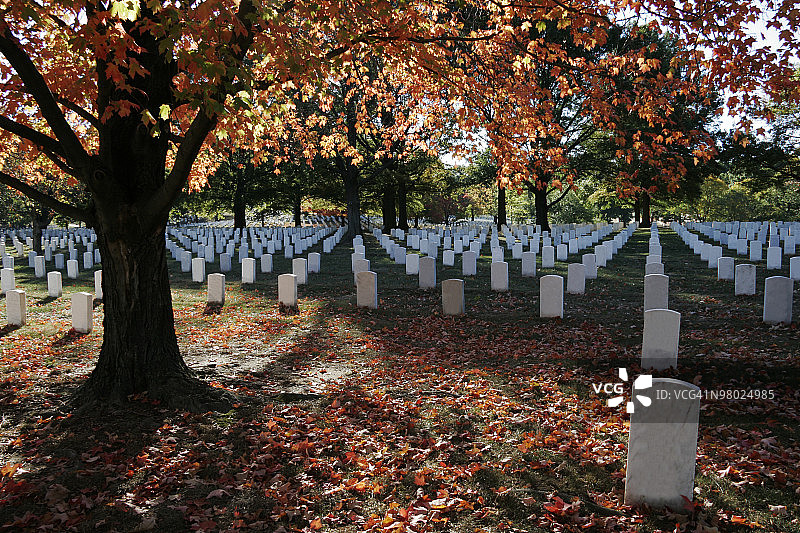 阿灵顿国家公墓的秋色图片素材