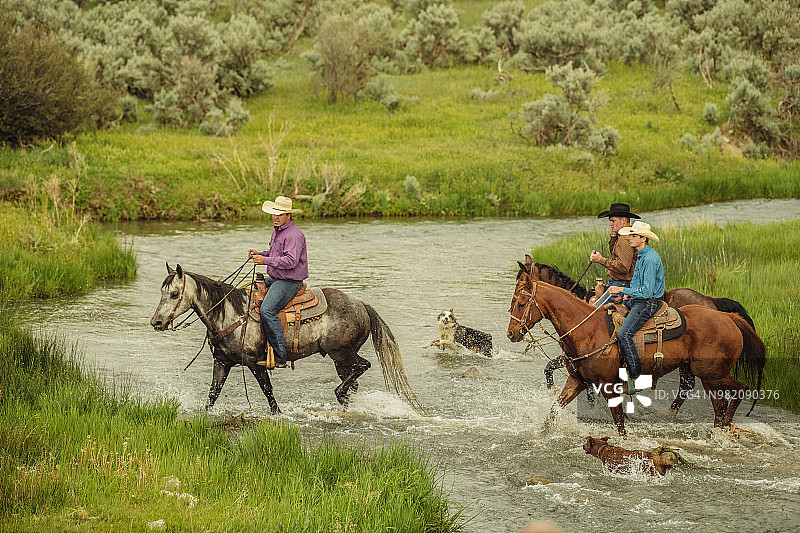 犹他州的牧场主骑着马过河图片素材