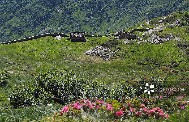 Formazza山谷的高视角Ghighel(2125米)图片素材