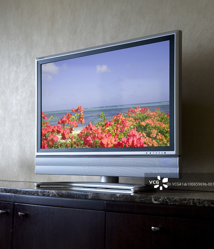 花卉海景电视屏幕(数码合成)图片素材