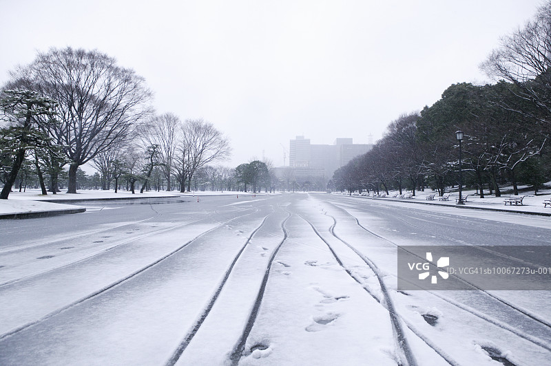 日本，东京，公园里的雪图片素材