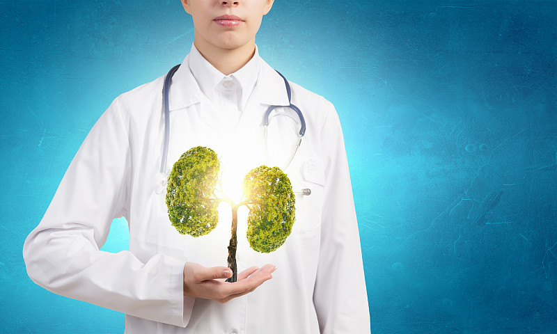 健康的肺。近距离的女医生抱着绿树在手中图片下载